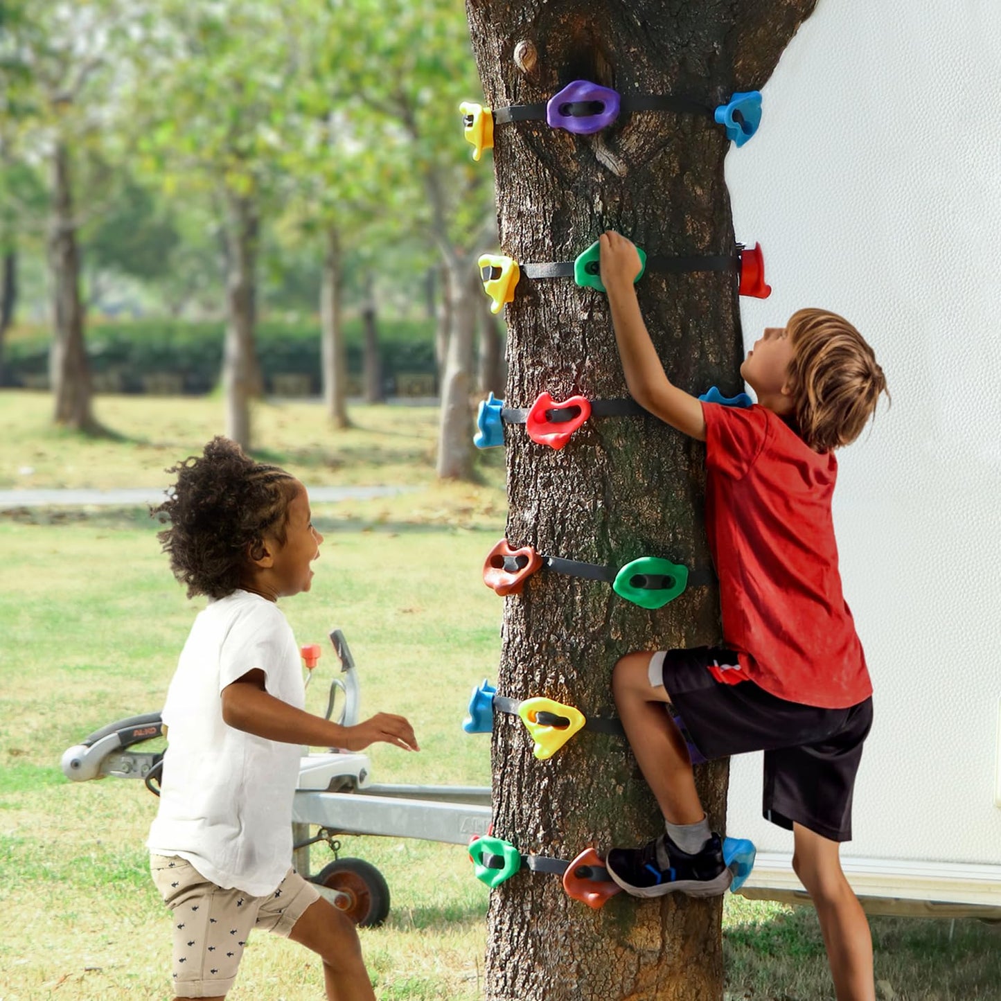 TOPNEW Ninja Tree Climbing Holds – 12 Rock Grips with 6 Straps